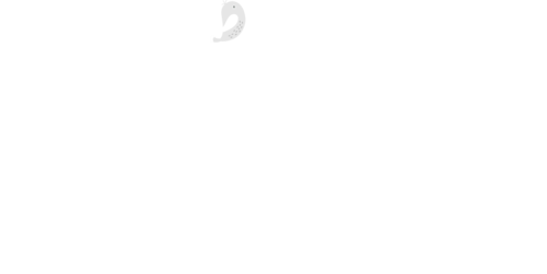 Logotipo de Aline Ferreira dos Passos
