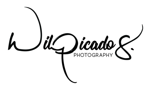 Logotipo de WiL Picado