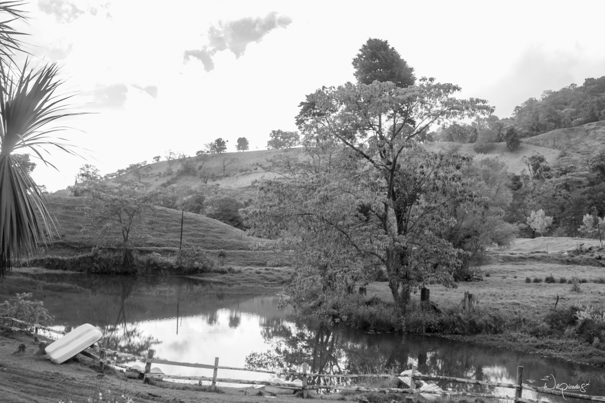 Imagem capa - ¿Que opinan del arte fotográfico en blanco y negro? por WiL Picado