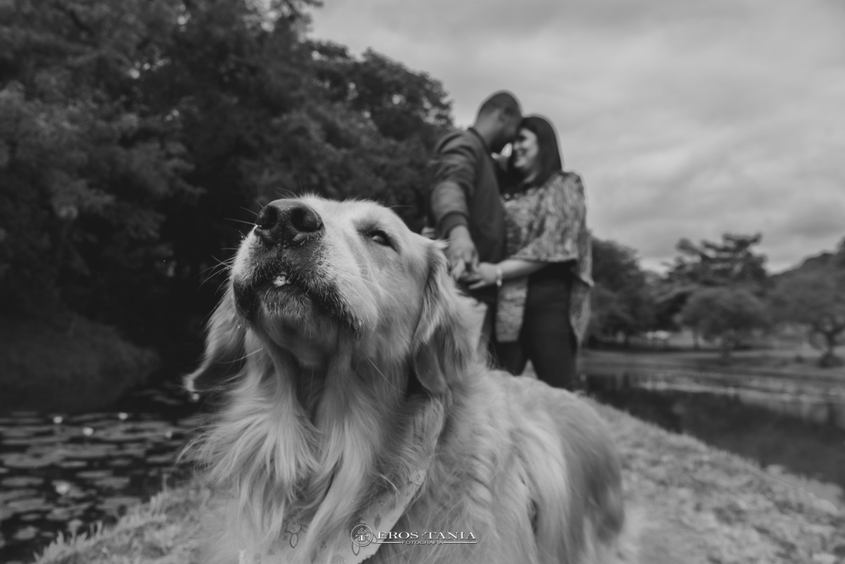 ENSAIO FOTOGRAFICO CASAL COM PET