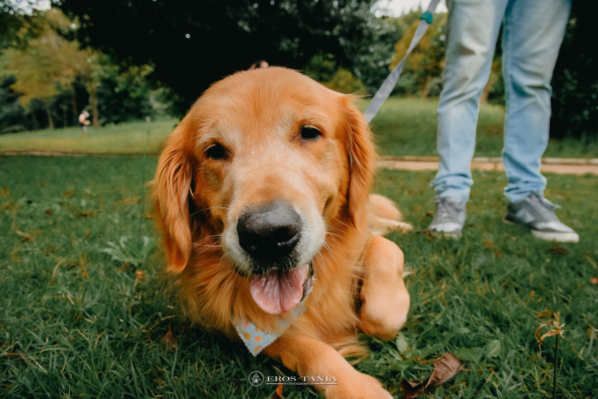 ENSAIO FOTOGRAFICO CASAL COM PET