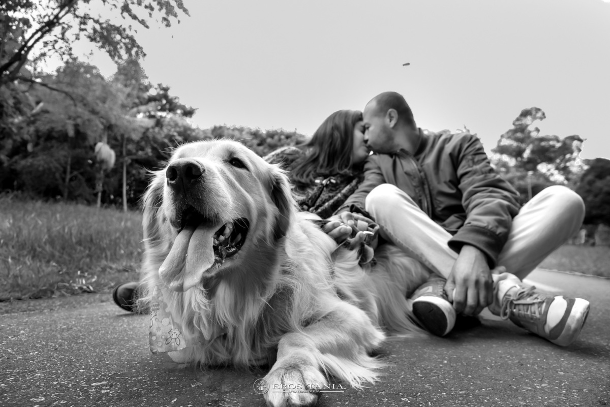 PRE WEDDING CASAMENTO COM CACHORRO