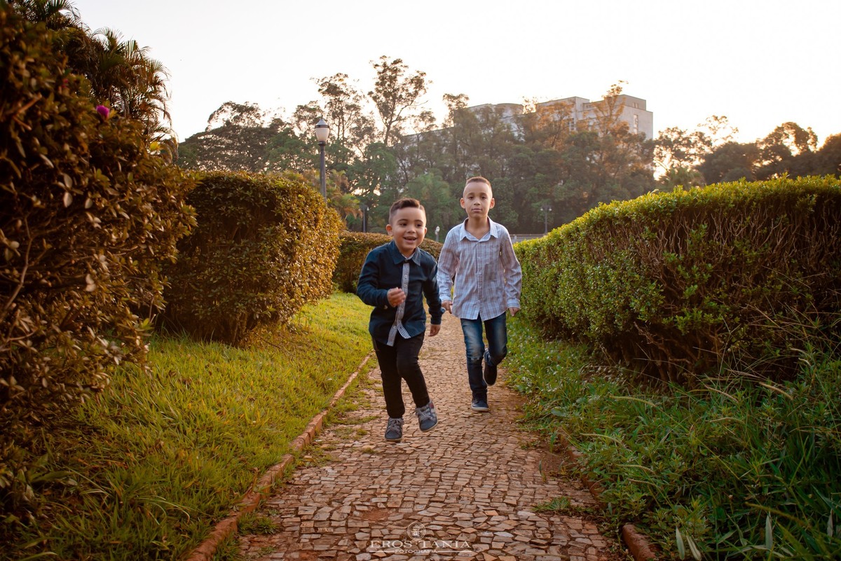 jardins do museu do ipiranga