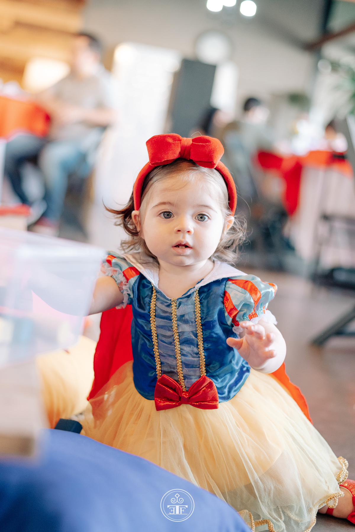 fantasia branca de neve