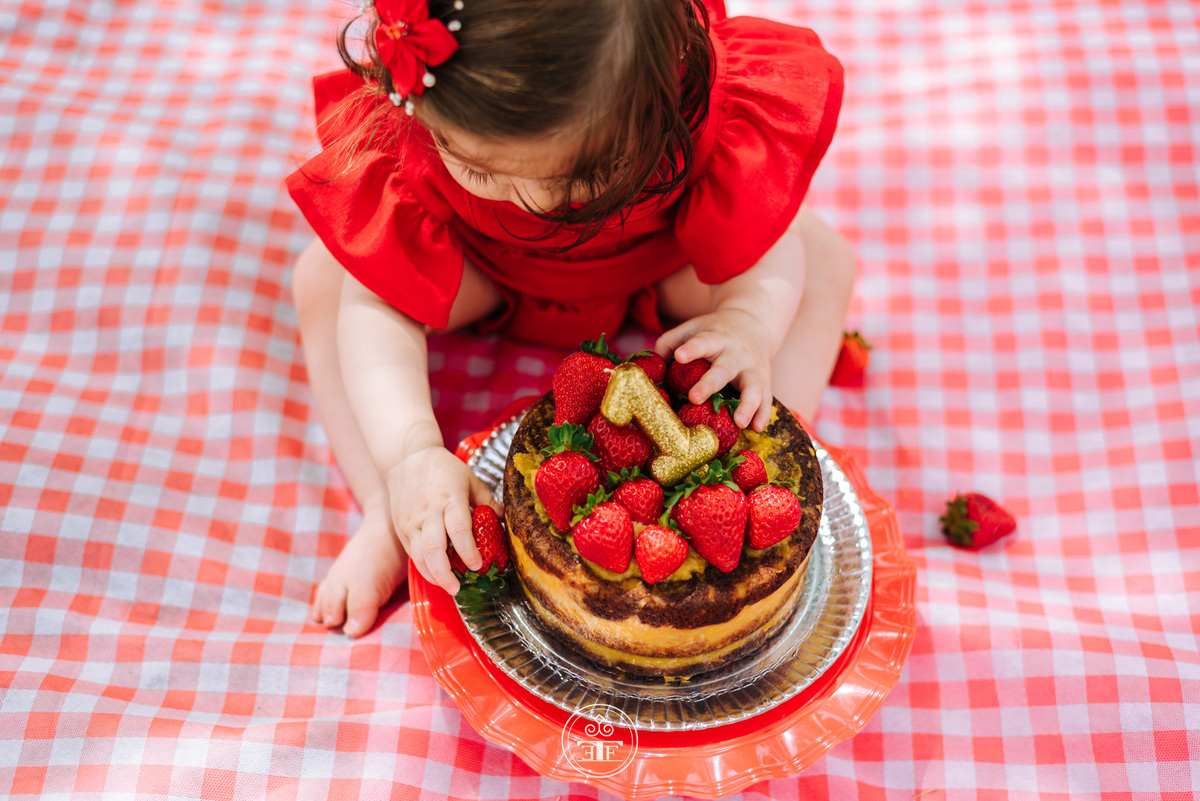 sessão de fotos smash the cake