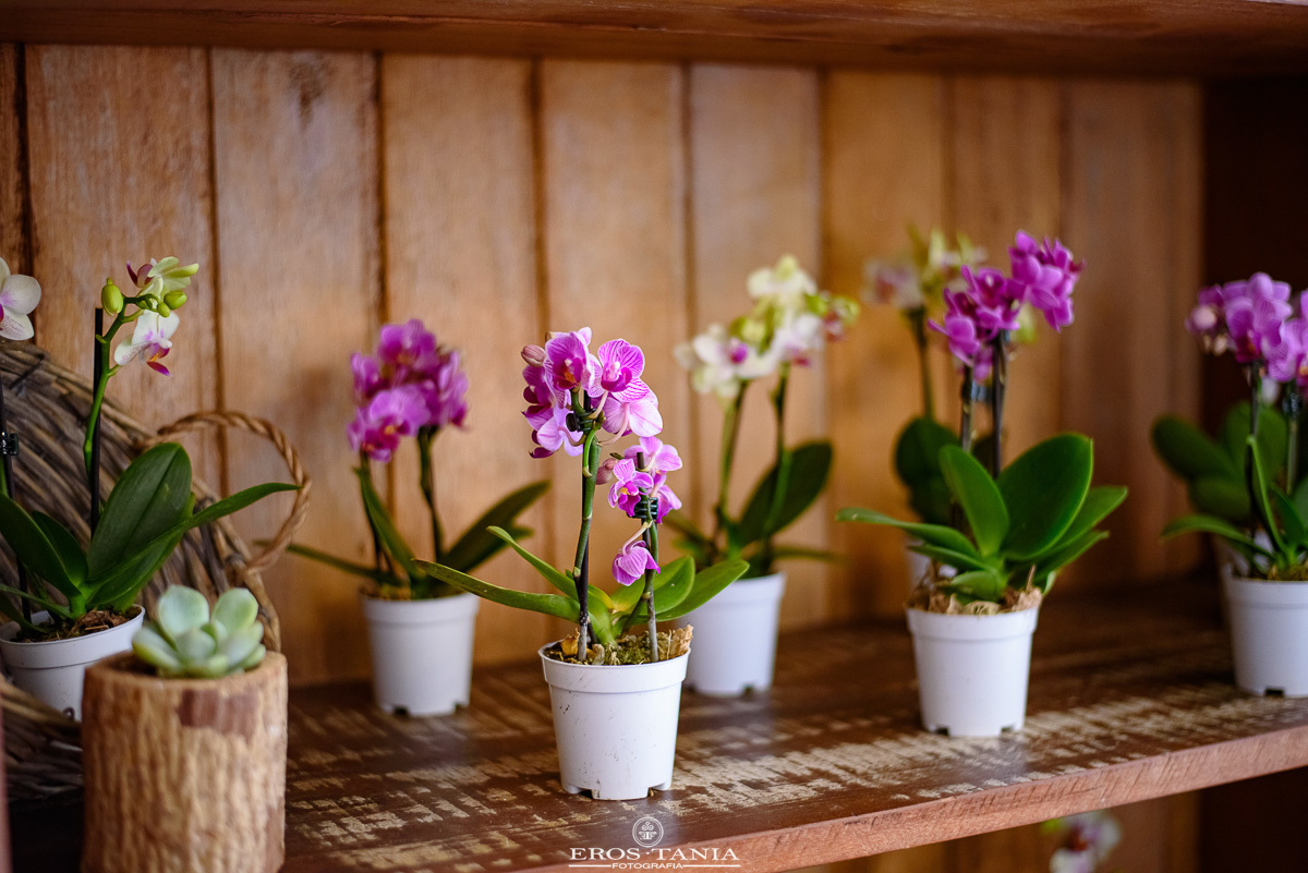 decoração de aniversario