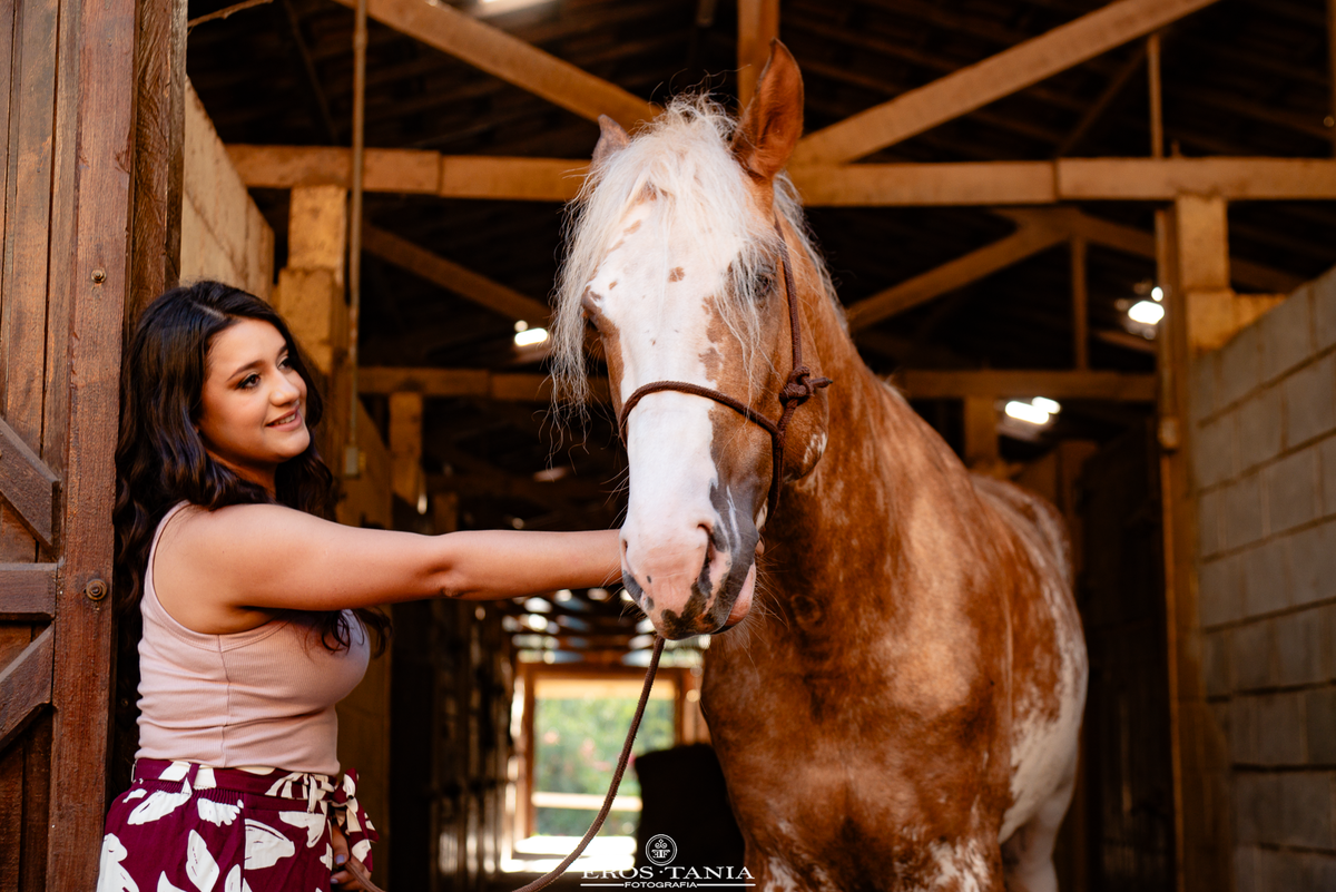 ensaio fotografico com cavalos