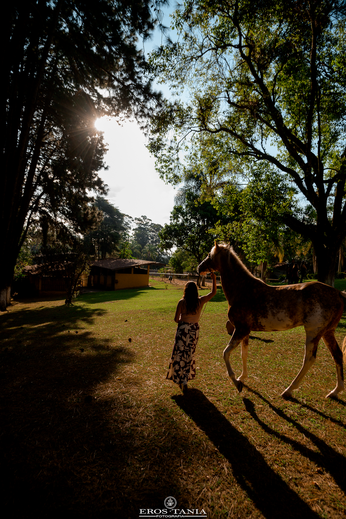 ensaio fotografico com cavalos