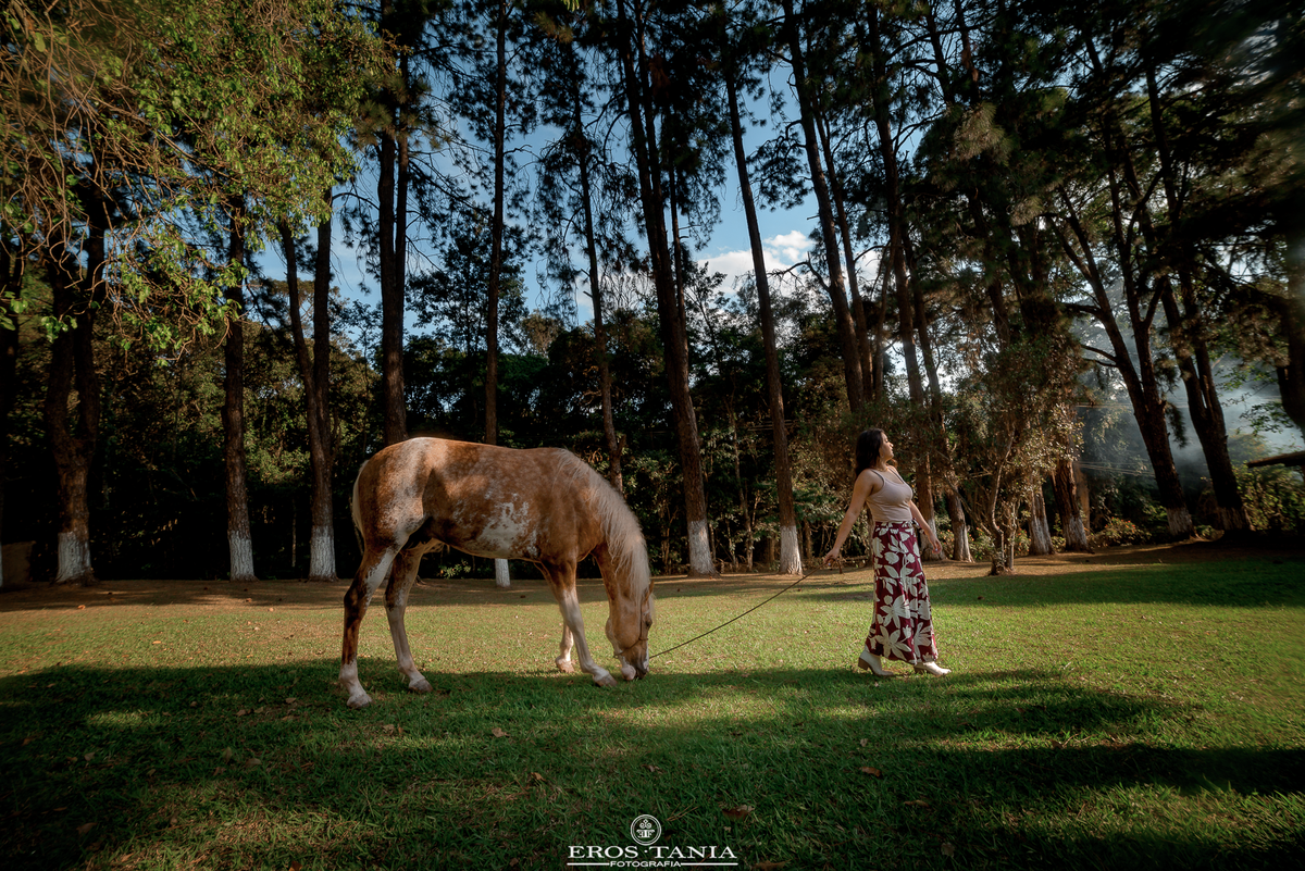 ensaio fotografico no haras