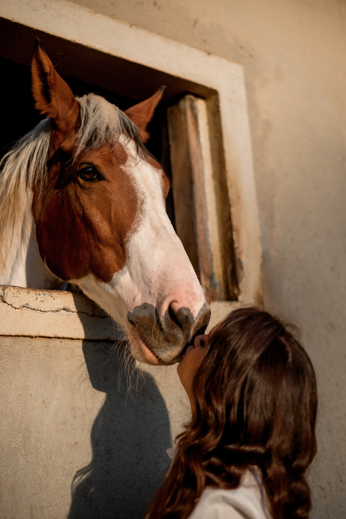 ensaio fotografico com cavalos