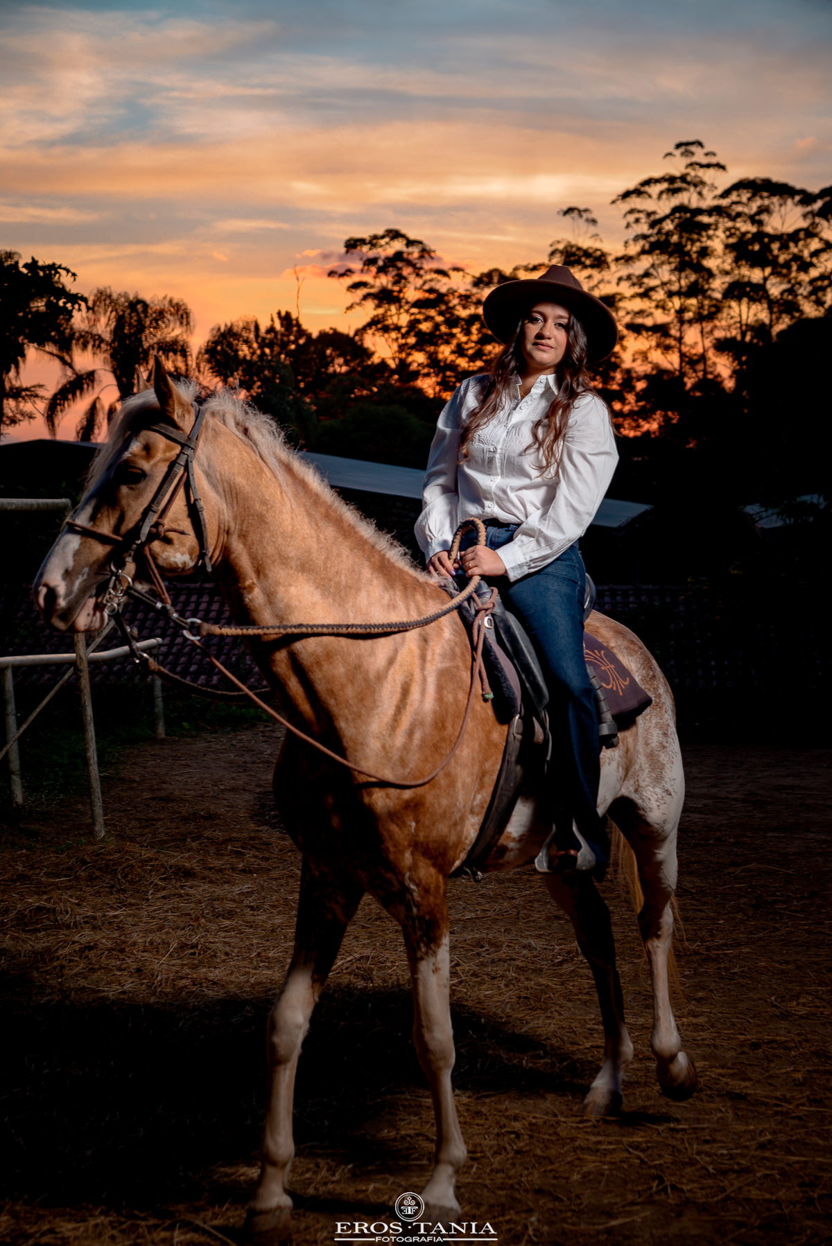fotografia com cavalo