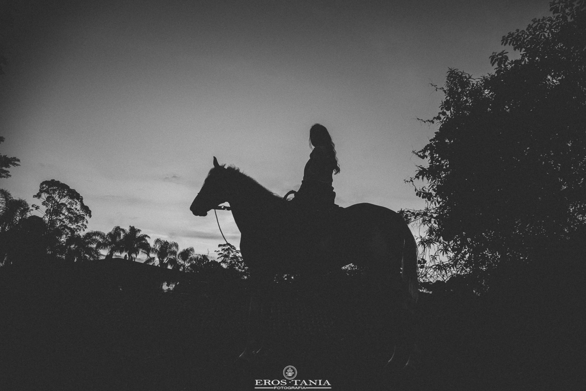 fotografia com cavalo