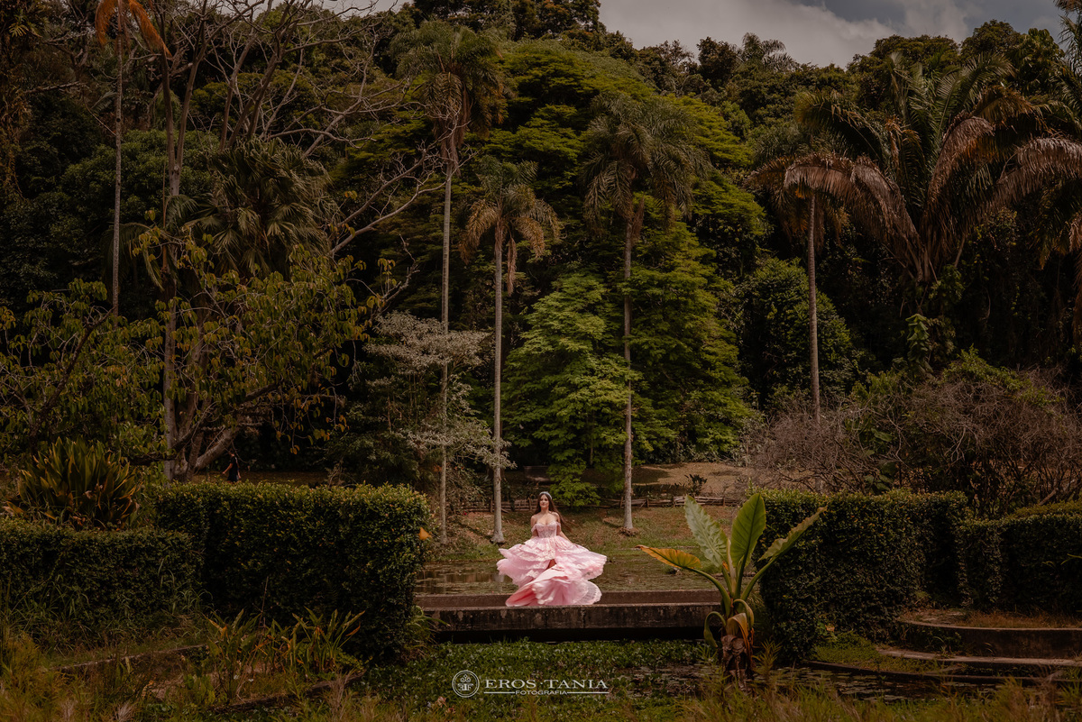 book 15 anos