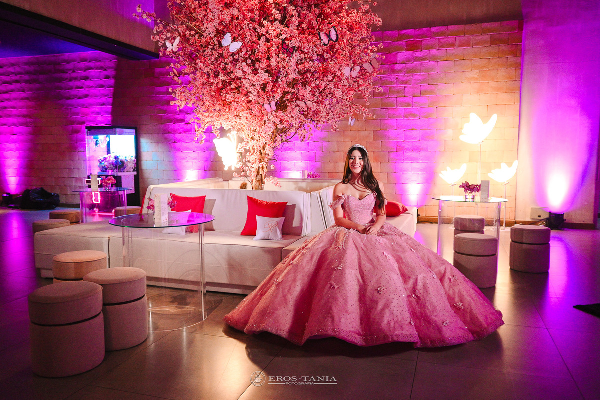 book de 15 anos