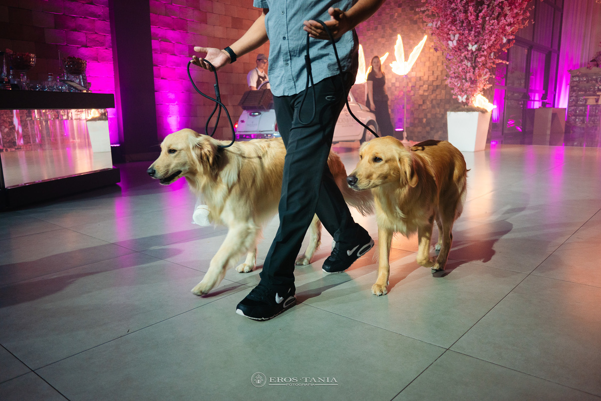 foto de pet festa debutante