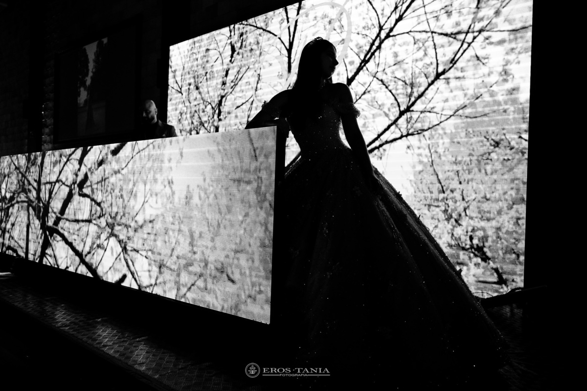 fotografo de debutante