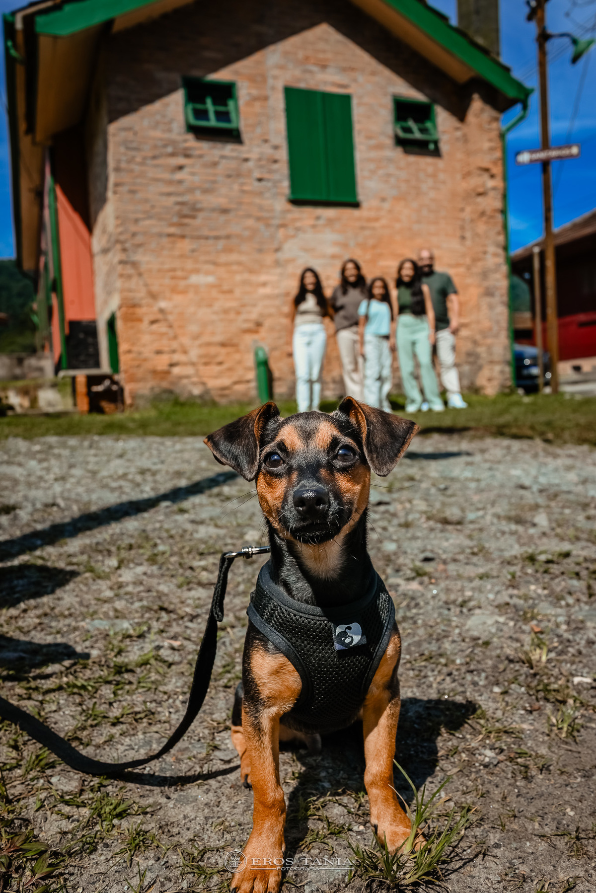 ensaio fotografico familia