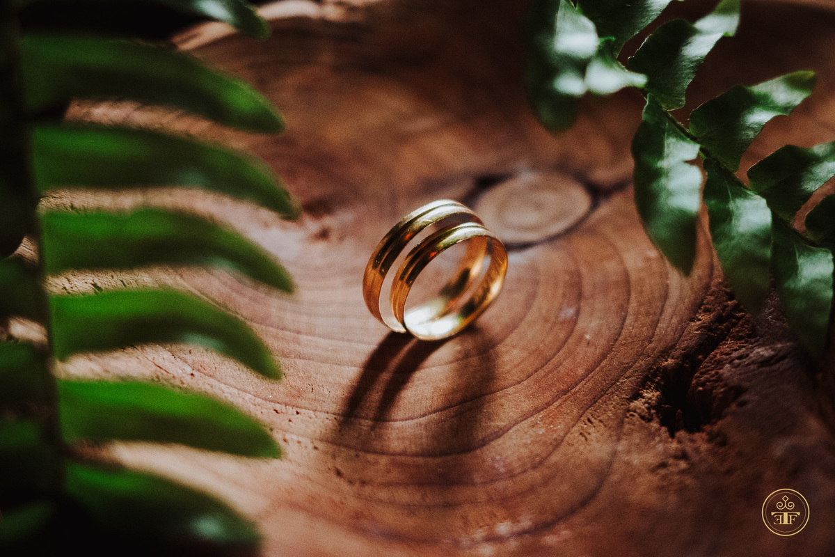 fotografia alianças