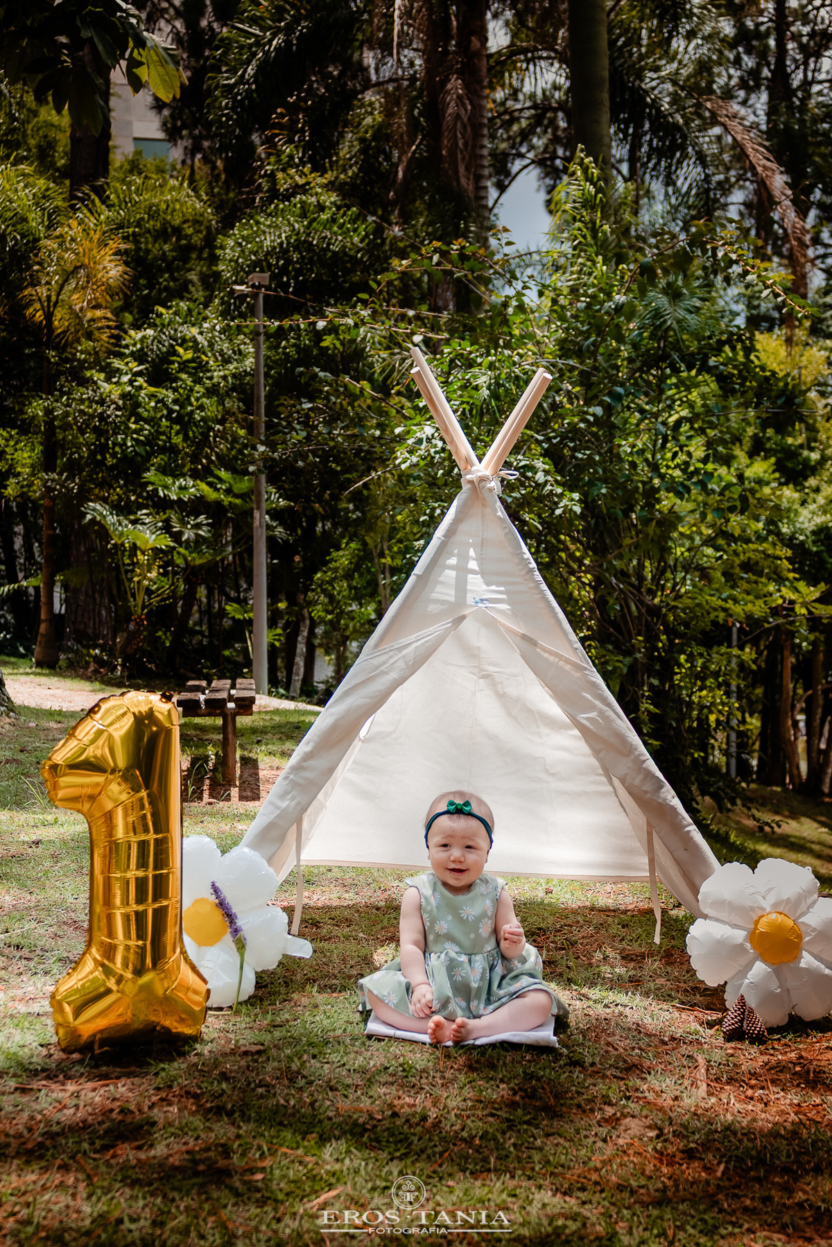fotografia de festa de 1 ano