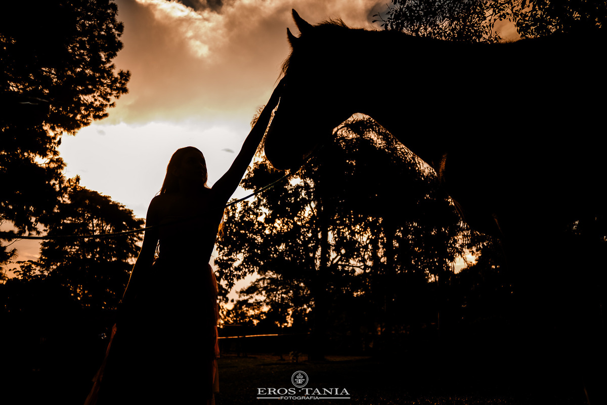 ensaio 15 anos com cavalos