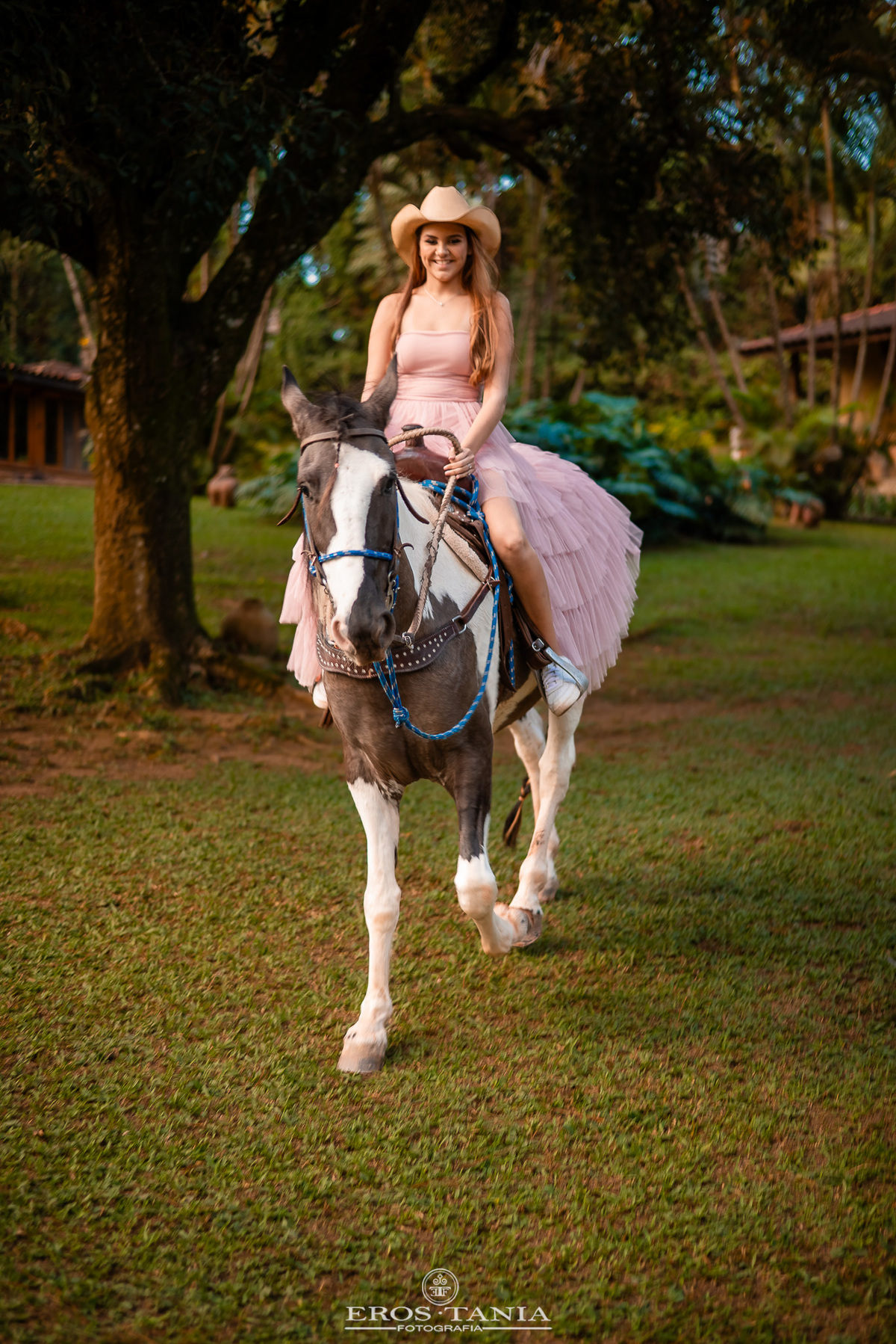 book de 15 anos com cavalos