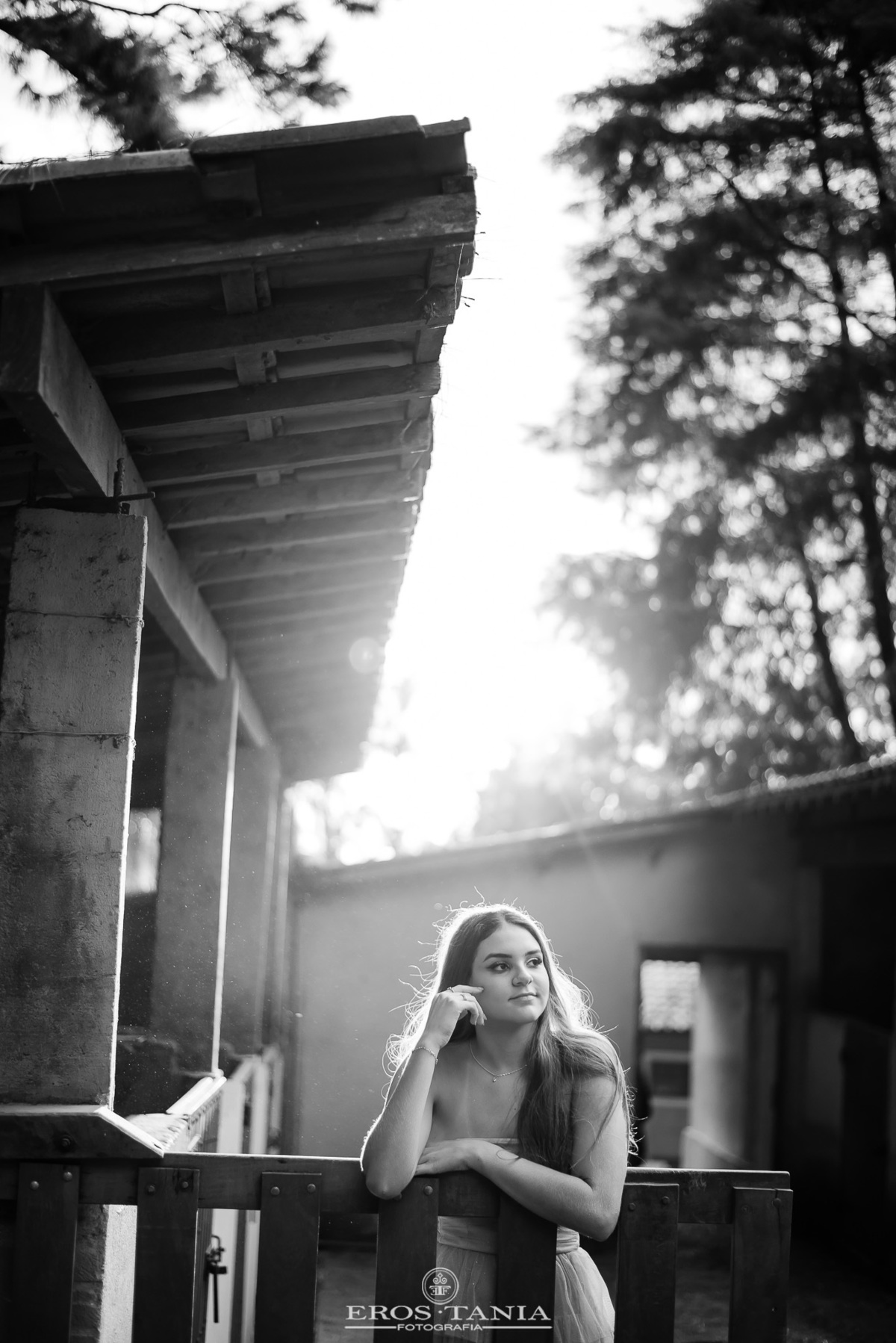 book de 15 anos