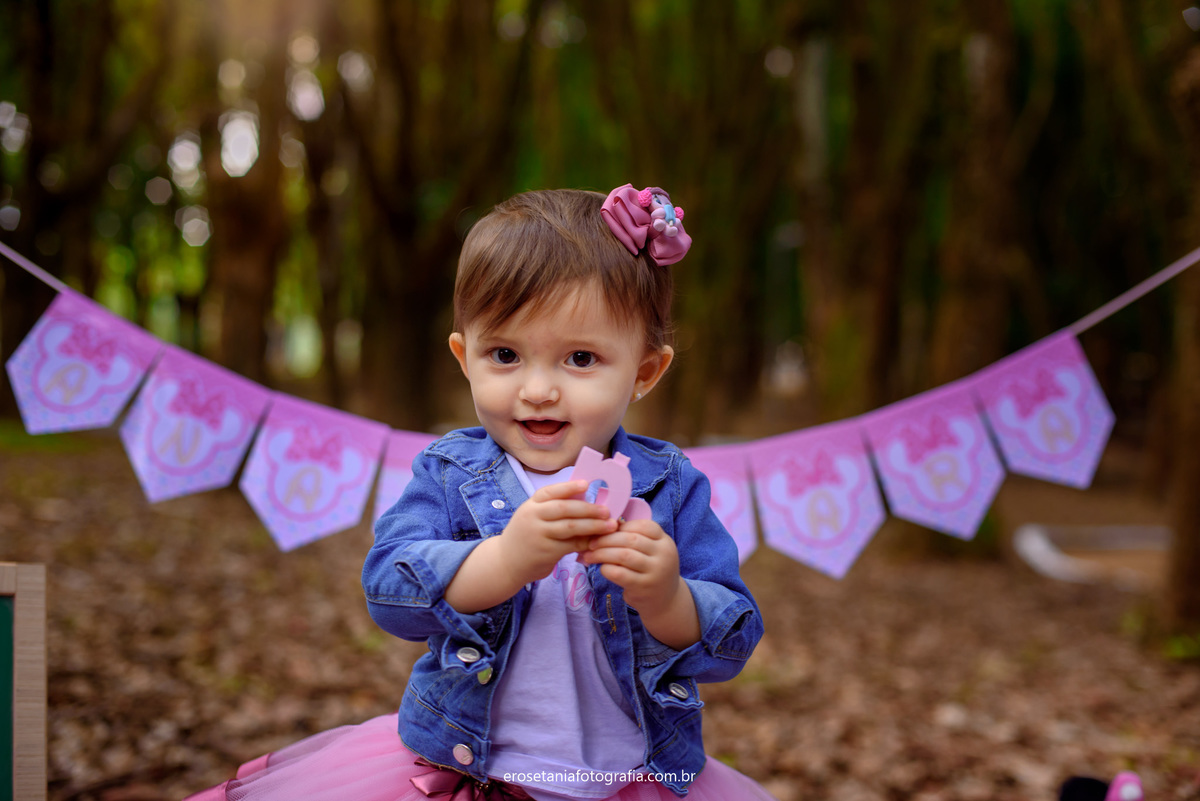 ensaio de fotos de 1 ano