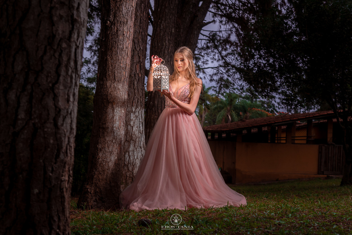 book de 15 anos