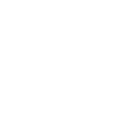 Logotipo de Victoria Panozzo Zenere