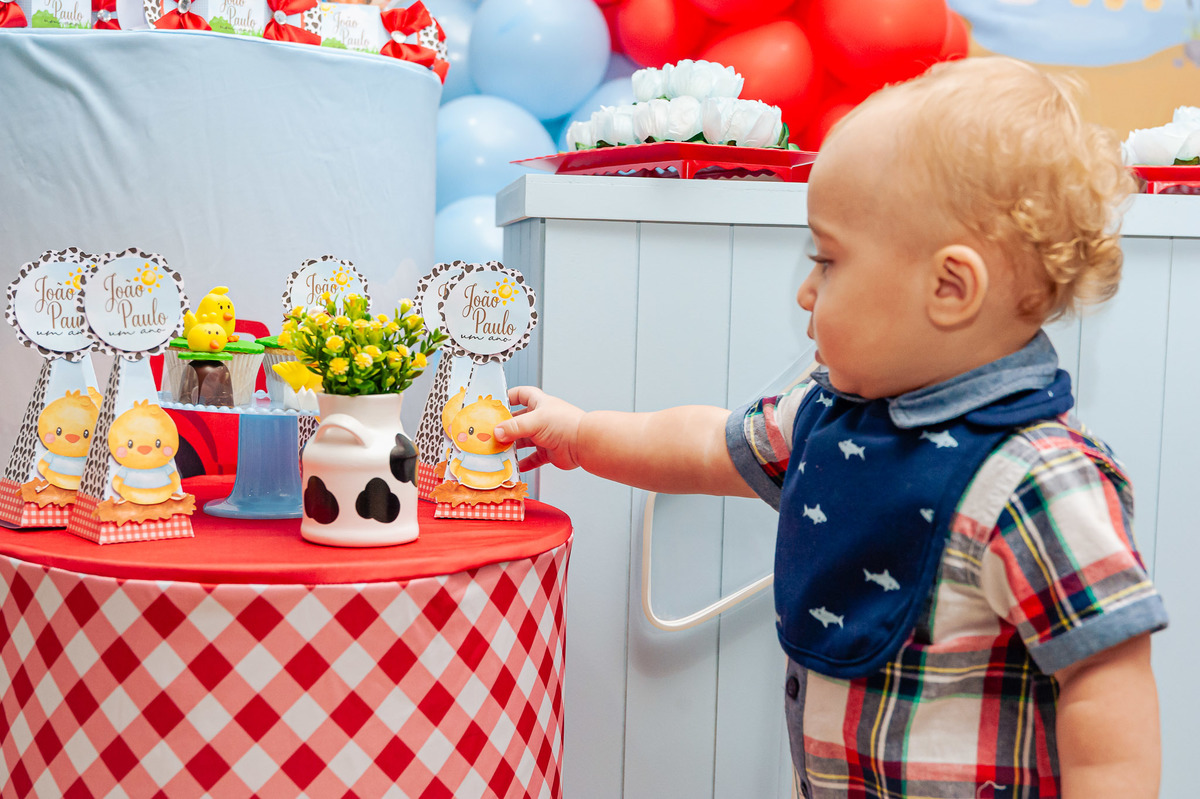 fotografia-afetiva-carol-salermo-fotografa-rj-fotos-rio-de-janeiro-mae-menino-jp-joao-paulo-1-ano-festa-em-casa-festa-no-play-fazendinha