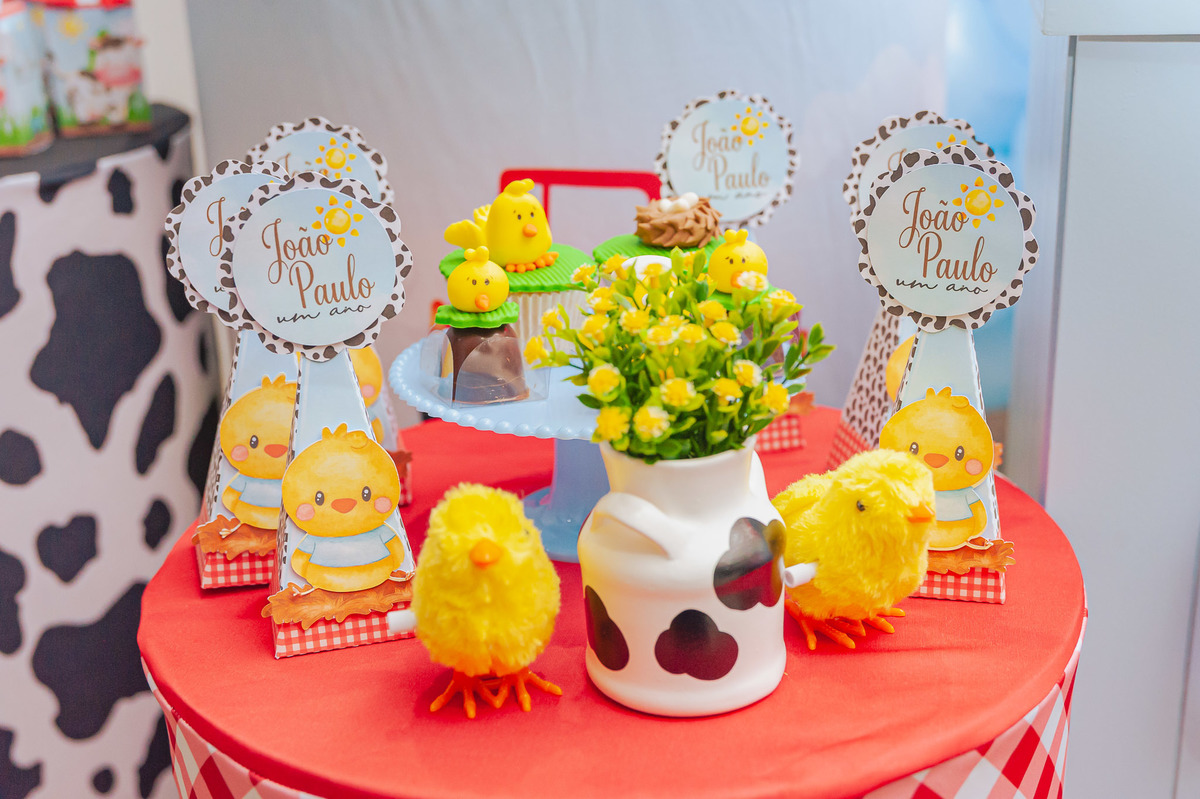 fotografia-afetiva-carol-salermo-fotografa-rj-fotos-rio-de-janeiro-mae-menino-jp-joao-paulo-1-ano-festa-em-casa-festa-no-play-fazendinha