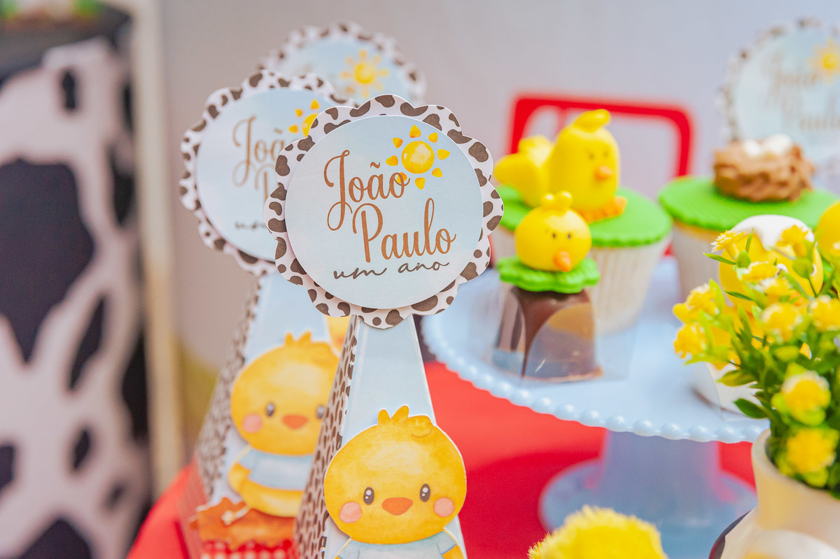 fotografia-afetiva-carol-salermo-fotografa-rj-fotos-rio-de-janeiro-mae-menino-jp-joao-paulo-1-ano-festa-em-casa-festa-no-play-fazendinha