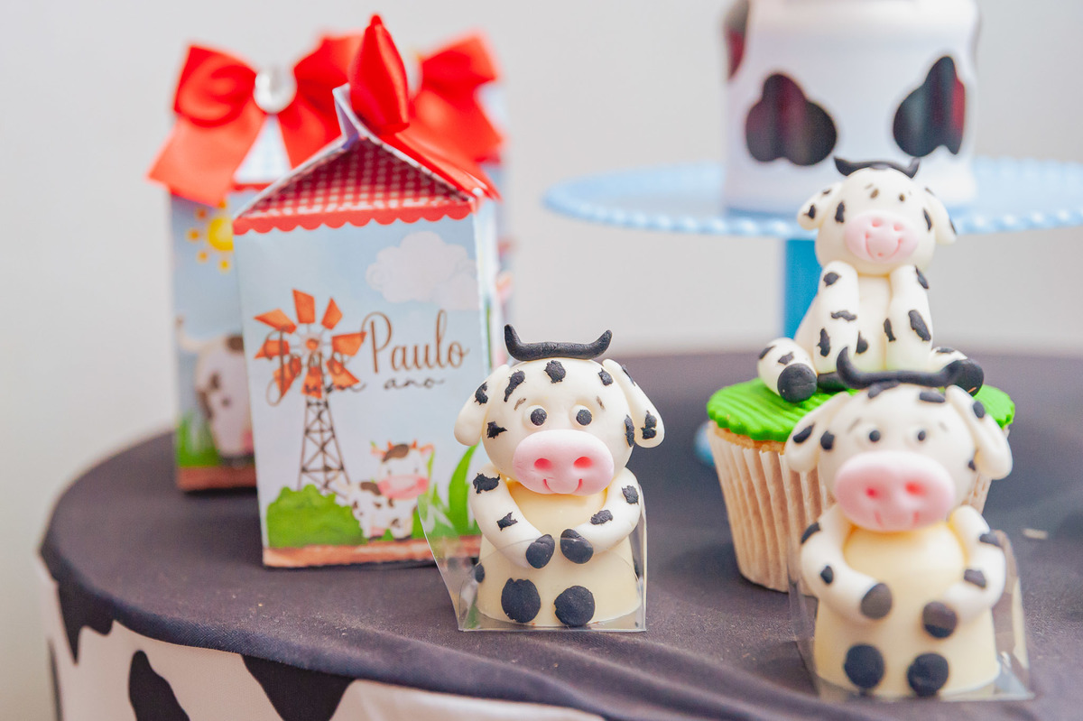 fotografia-afetiva-carol-salermo-fotografa-rj-fotos-rio-de-janeiro-mae-menino-jp-joao-paulo-1-ano-festa-em-casa-festa-no-play-fazendinha