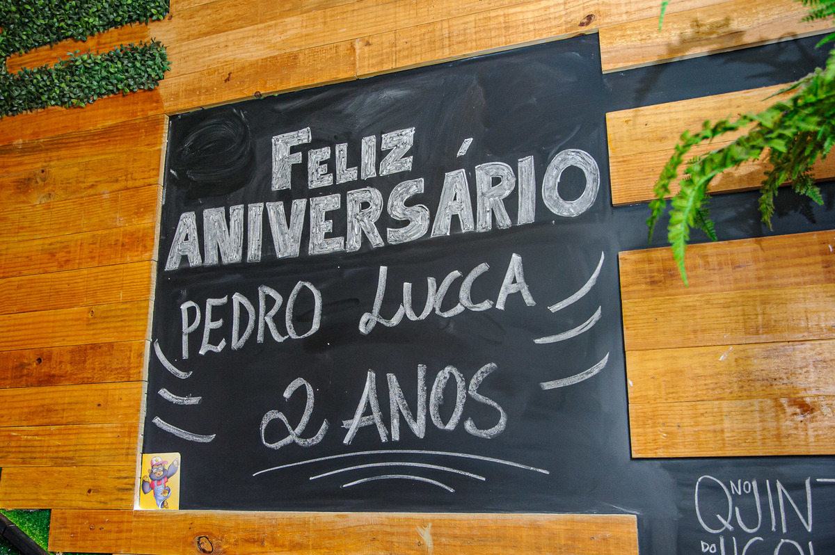 carol-salermo-fotografia-afetiva-lifestyle-rio-de-janeiro-festa-infantil-2-anos-rei-leao-recreio-zona-oeste-fotografa-da-família-pedro-lucca