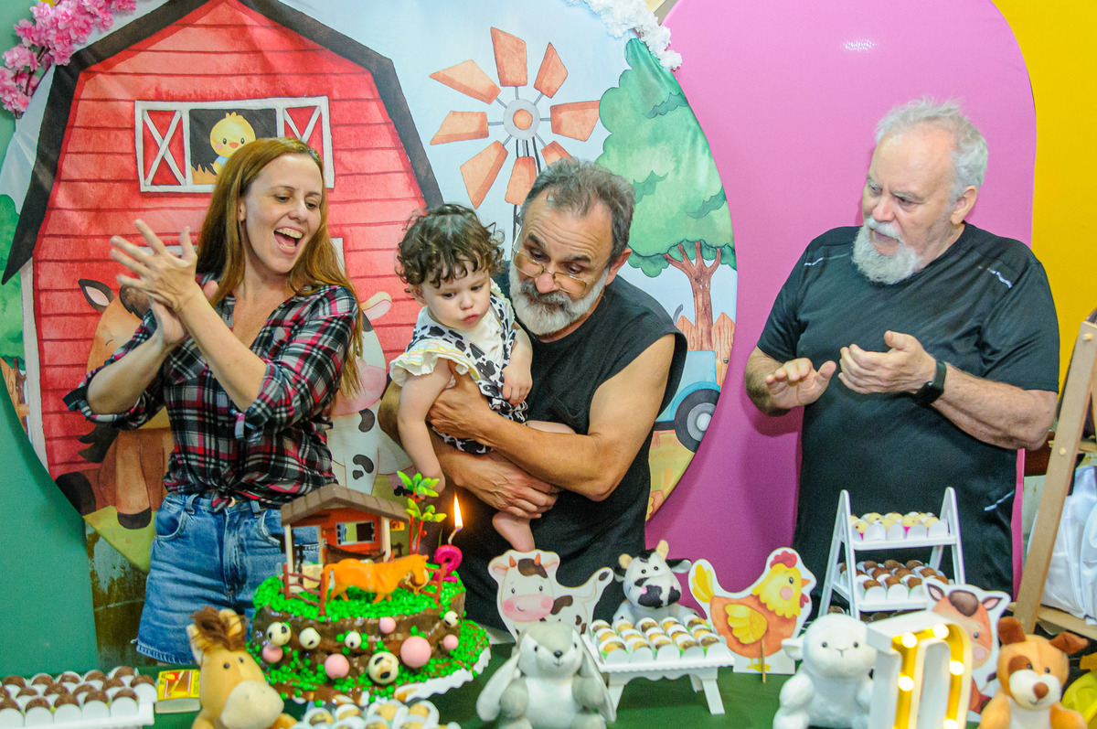 carol-salermo-fotografia-afetiva-acompanhamento-festa-casa--infantil-fazendinha-jardim-guanabara-ilha-governardor-rio-de-janeiro