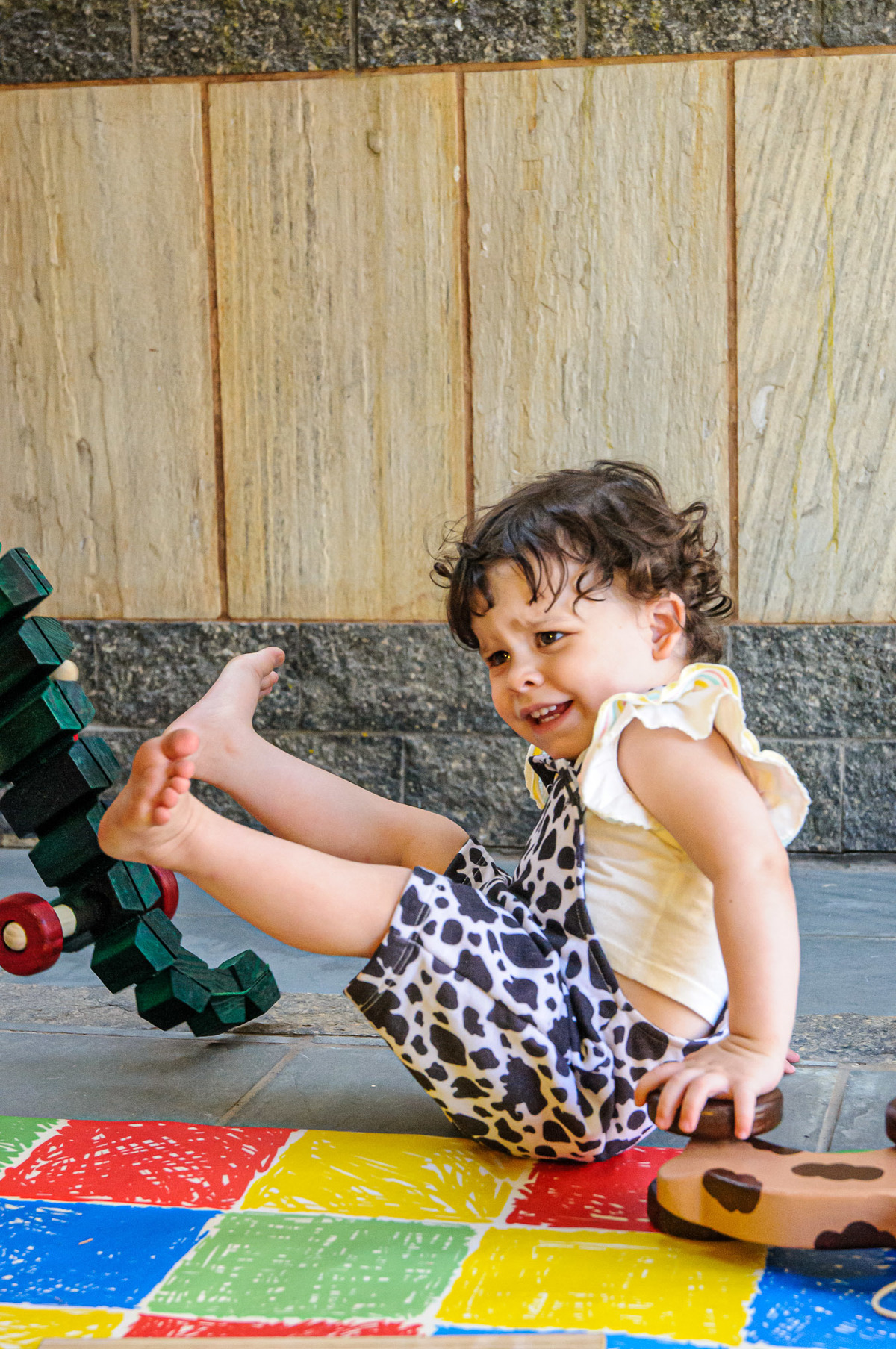 carol-salermo-fotografia-afetiva-acompanhamento-festa-casa--infantil-fazendinha-jardim-guanabara-ilha-governardor-rio-de-janeiro