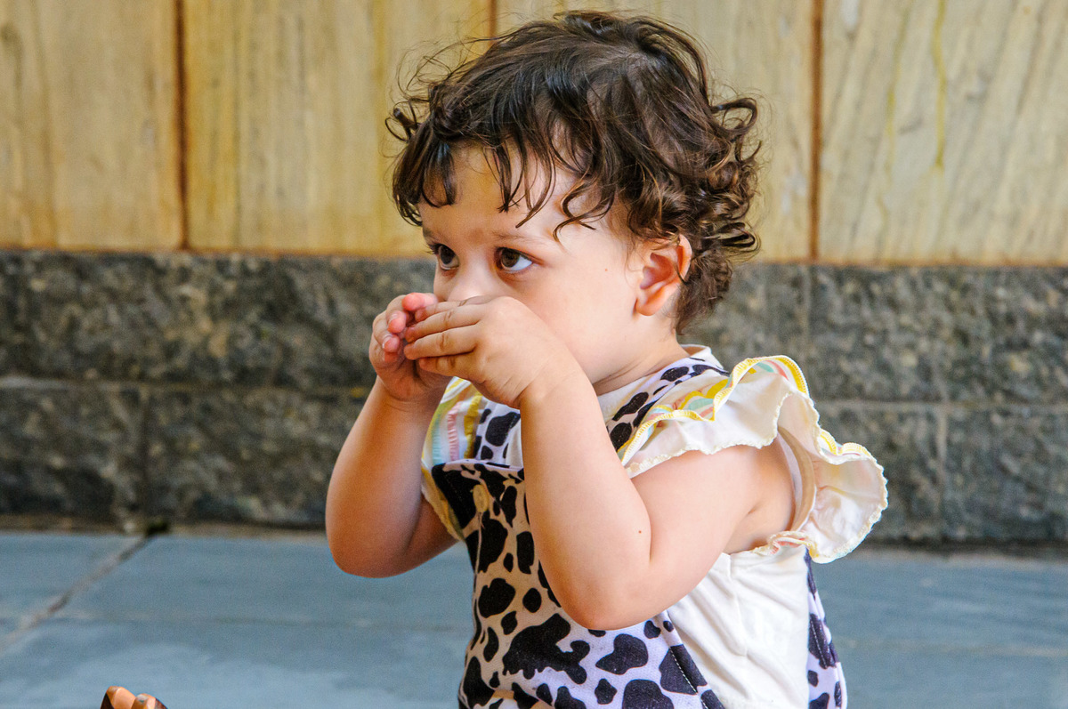 carol-salermo-fotografia-afetiva-acompanhamento-festa-casa--infantil-fazendinha-jardim-guanabara-ilha-governardor-rio-de-janeiro