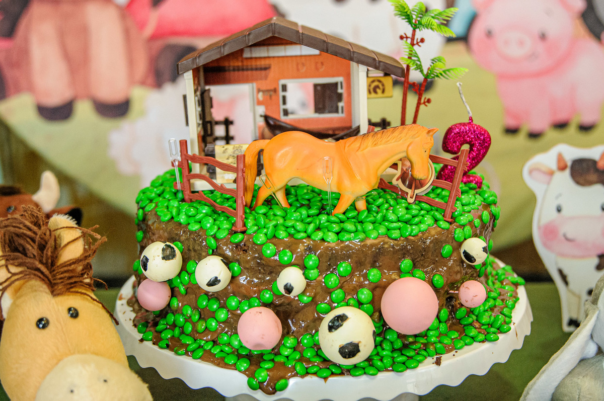 carol-salermo-fotografia-afetiva-acompanhamento-festa-casa--infantil-fazendinha-jardim-guanabara-ilha-governardor-rio-de-janeiro