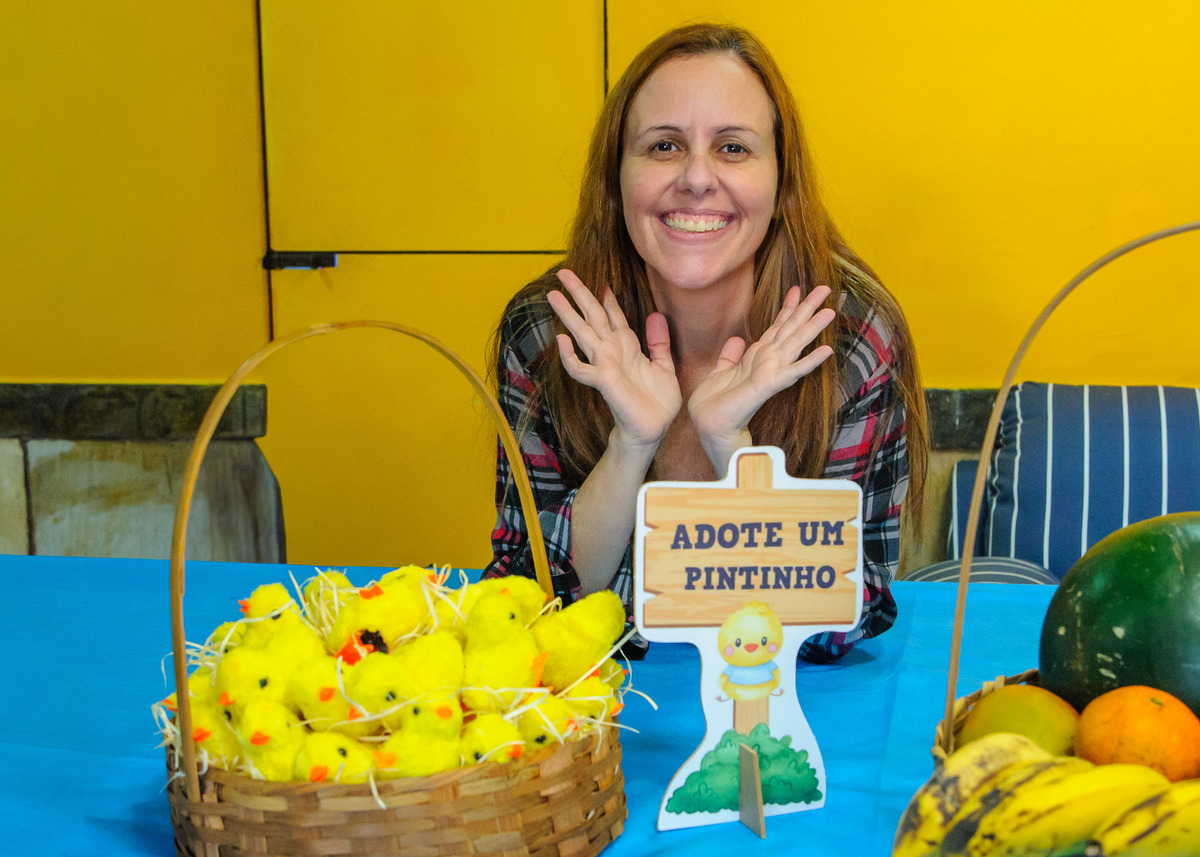 carol-salermo-fotografia-afetiva-acompanhamento-festa-casa--infantil-fazendinha-jardim-guanabara-ilha-governardor-rio-de-janeiro