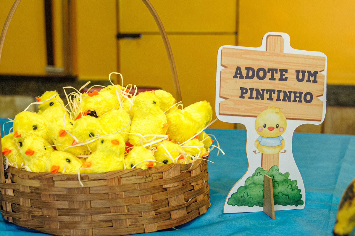 carol-salermo-fotografia-afetiva-acompanhamento-festa-casa--infantil-fazendinha-jardim-guanabara-ilha-governardor-rio-de-janeiro