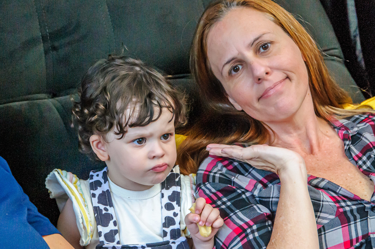 carol-salermo-fotografia-afetiva-acompanhamento-festa-casa--infantil-fazendinha-jardim-guanabara-ilha-governardor-rio-de-janeiro