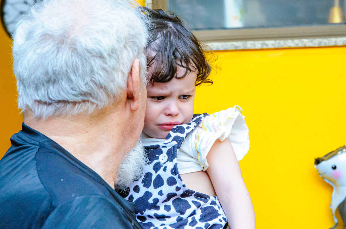carol-salermo-fotografia-afetiva-acompanhamento-festa-casa--infantil-fazendinha-jardim-guanabara-ilha-governardor-rio-de-janeiro