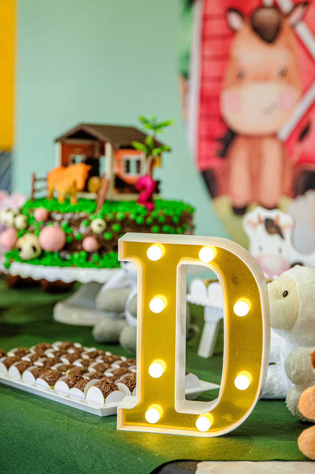 carol-salermo-fotografia-afetiva-acompanhamento-festa-casa--infantil-fazendinha-jardim-guanabara-ilha-governardor-rio-de-janeiro