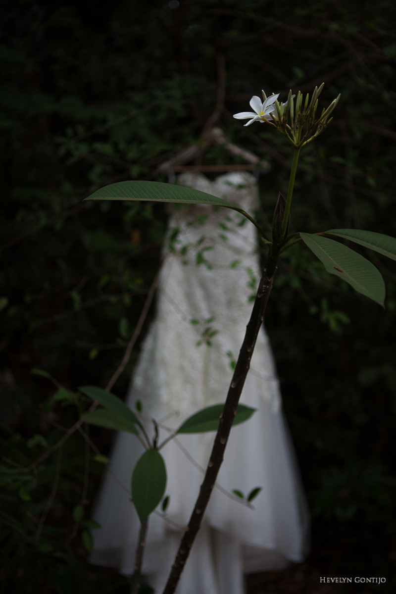 Casamento em Goiânia Lidhiane e Jefferson. E os anjos catam esse amor!