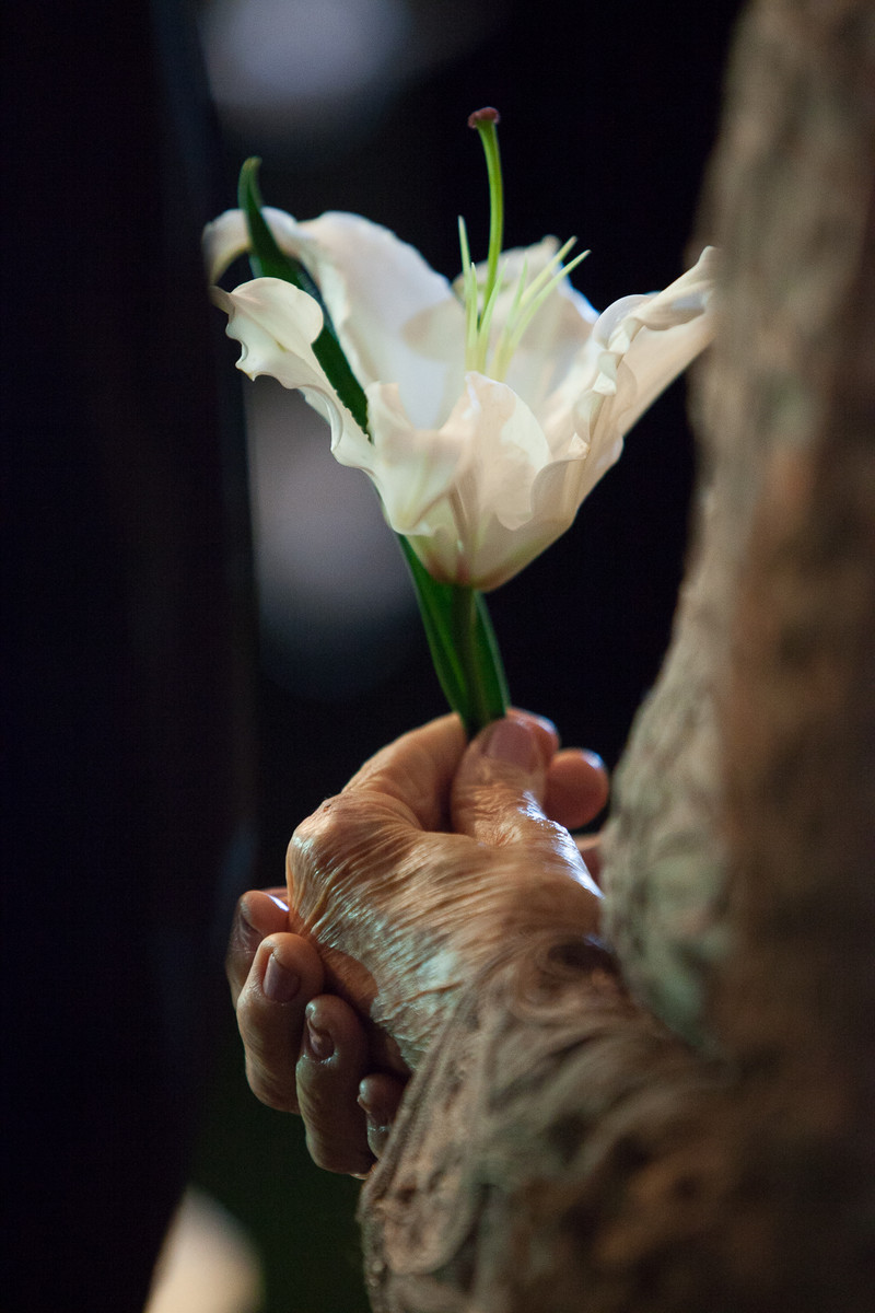 Danielle e Junior – Casamento