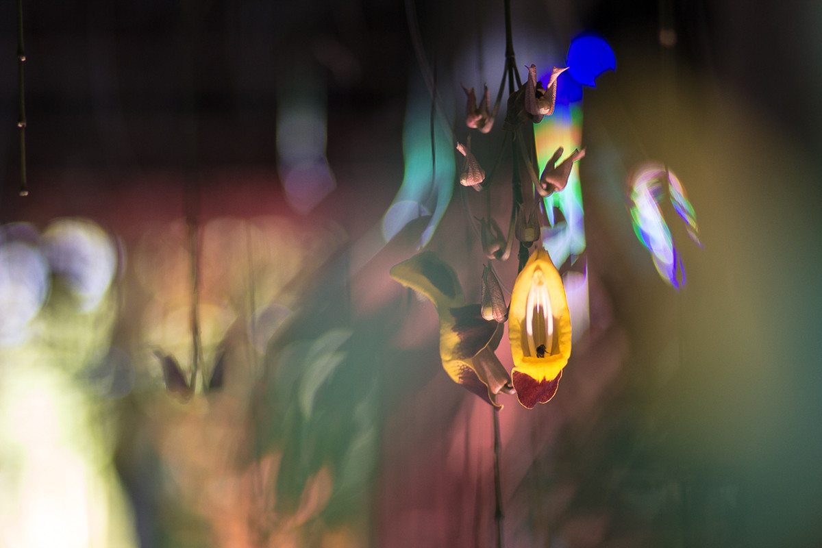 Buquê de Papel, Amor eterno – Renata e Vinícius