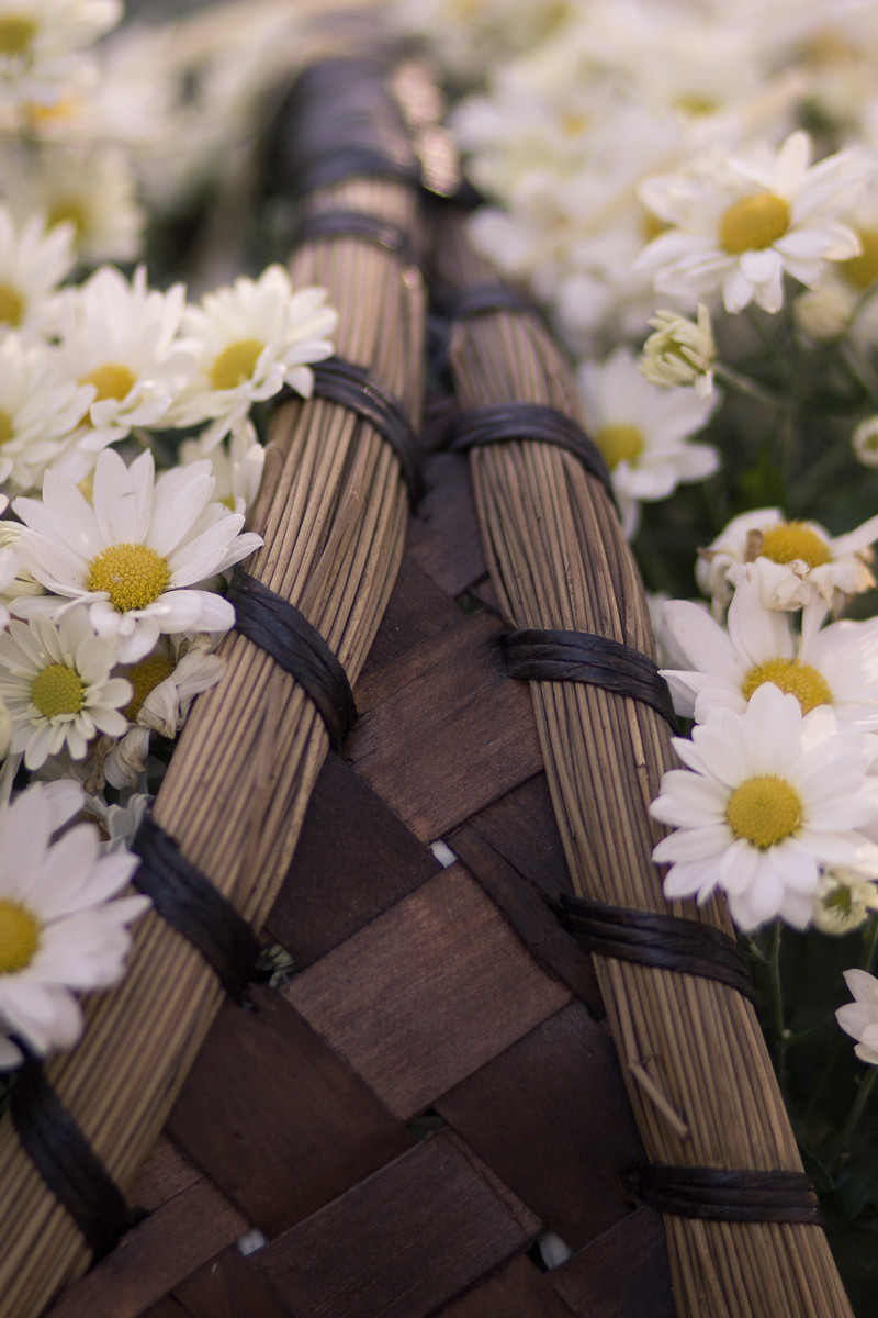 Buquê de Papel, Amor eterno – Renata e Vinícius