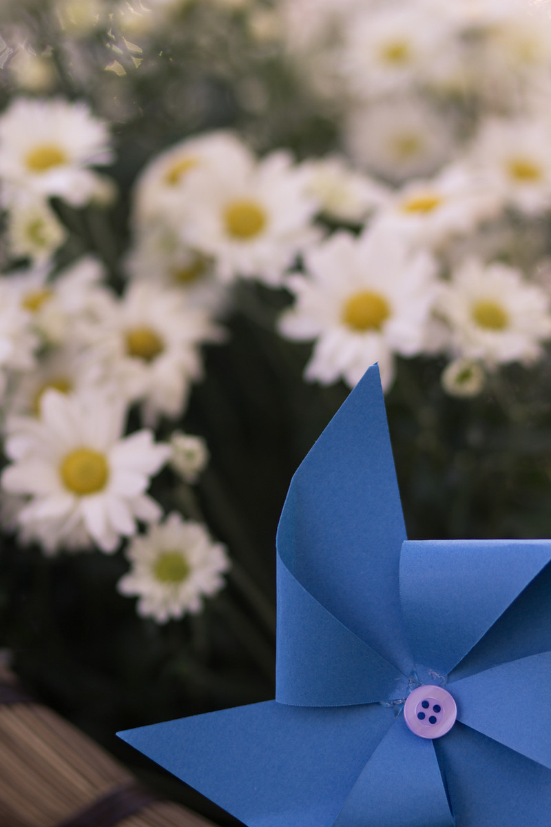 Buquê de Papel, Amor eterno – Renata e Vinícius