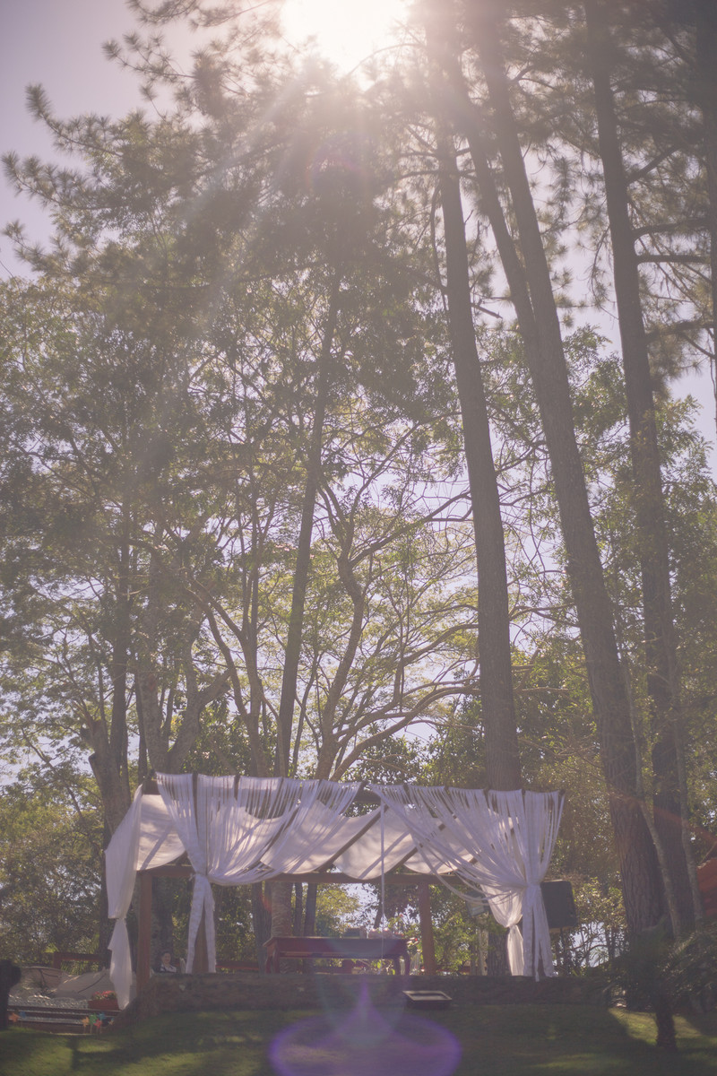 Buquê de Papel, Amor eterno – Renata e Vinícius