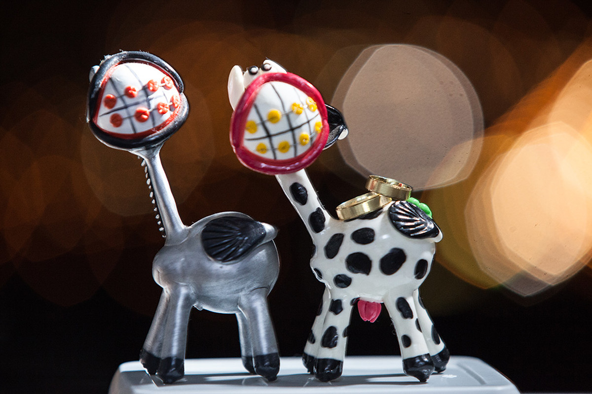 Skate, casamento, verde e amor